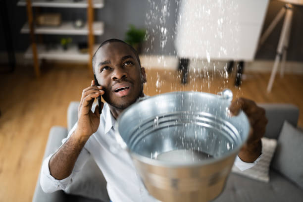 Best Carpet water damage restoration  in Pleasant View, TN