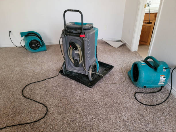 Best Water damage restoration near me  in Pleasant View, TN