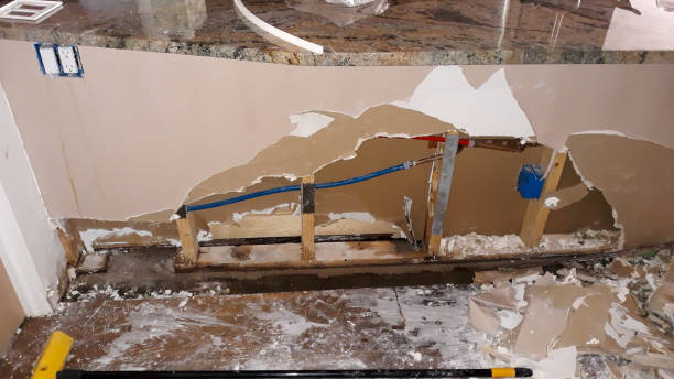 Best Flooded house restoration  in Pleasant View, TN
