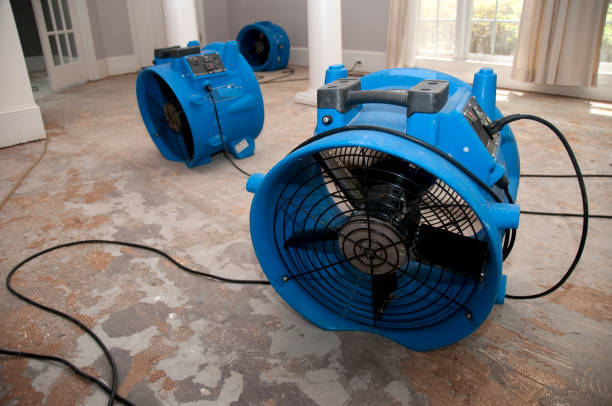 Best 24/7 water damage repair  in Pleasant View, TN