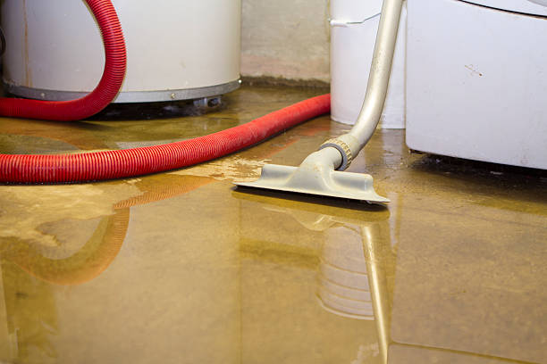 Best Flood restoration services  in Pleasant View, TN