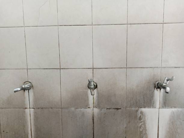 Best 24-hour water damage restoration  in Pleasant View, TN