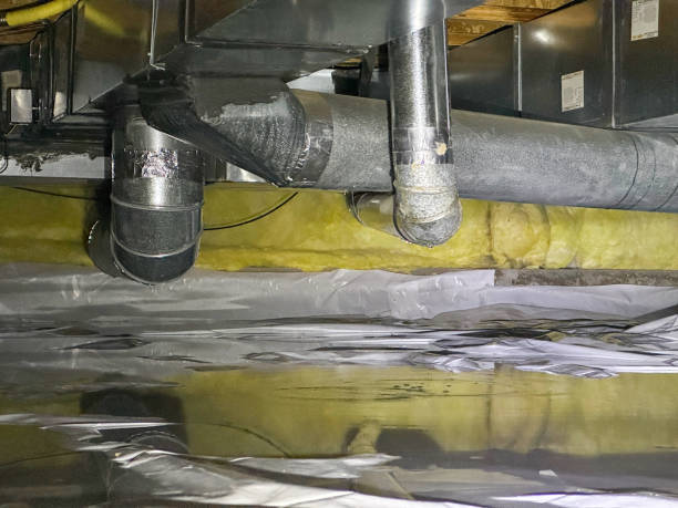 Best Water damage mitigation services  in Pleasant View, TN