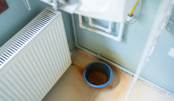 Best Basement water damage restoration  in Pleasant View, TN