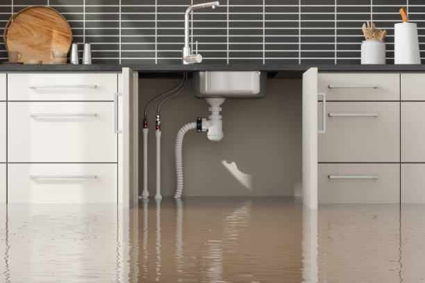 Best Commercial water damage restoration  in Pleasant View, TN
