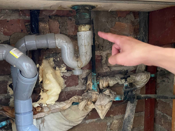 Best Flood damage cleanup  in Pleasant View, TN