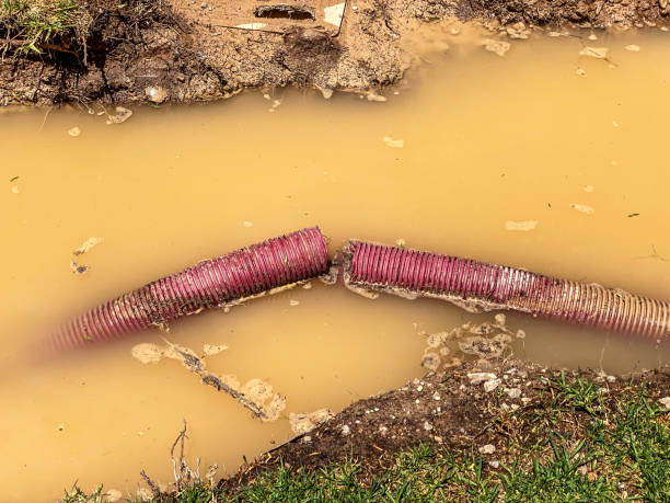 Best Emergency water damage restoration  in Pleasant View, TN