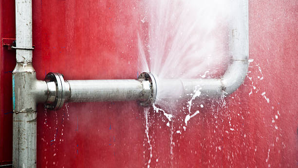 Best 24/7 water damage repair  in Pleasant View, TN